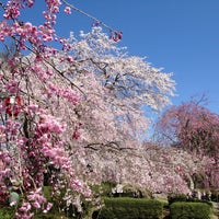 Photo taken at Tsutsujigaoka Park by Toshikazu F. on 4/15/2013