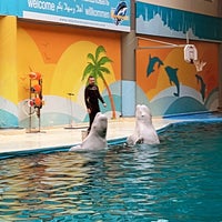 Photo taken at Dolphinarium by Fatma Q on 8/26/2022
