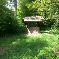 Vogelpark Hambrucken Zoo In Forst