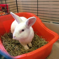 island exotic vet care