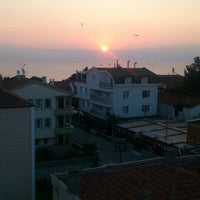 Blue Dolphin Otel Soz Nisan Mekanlari Samsun