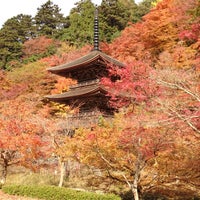 金剛院 Buddhist Temple In 舞鶴市 金剛院 Buddhist Temple In 舞鶴市