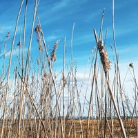 Photo taken at Участок «Знаменка» заказника «Южное побережье Невской губы» by Darya F. on 4/2/2020