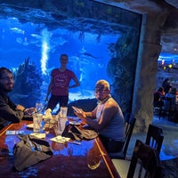 Photo taken at Aquarium Restaurant by Andrey L. on 11/26/2020