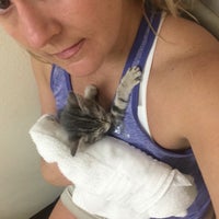 Photo taken at West Michigan Street veterinary clinic by Sandra J. on 9/19/2016