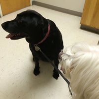 6/25/2014にSandra J.がThe Paw Patch Veterinary Clinicで撮った写真