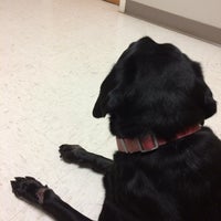 10/6/2016にSandra J.がThe Paw Patch Veterinary Clinicで撮った写真