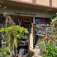 秘密基地植物園とカフェバー 57 Visitors 秘密基地植物園とカフェバー 57 Visitors