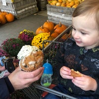 10/6/2019 tarihinde John F.ziyaretçi tarafından Golden Harvest Farms'de çekilen fotoğraf