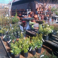 West Seattle Nursery Garden Center In Seaview West Seattle Nursery Garden Center In Seaview
