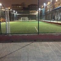 cukurbostan halisaha