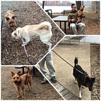 Photo taken at Brooklyn Animal Resource Coalition (BARC) by Jian on 12/22/2014