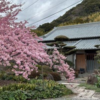 Photo taken at 河津桜観光交流館 by Pundoy on 2/16/2024