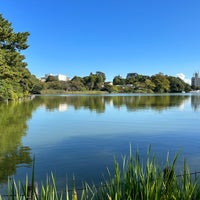 Photo taken at Senzokuike Park by ばくりんこ☆ on 10/16/2023