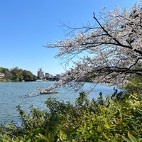 Photo taken at Senzoku Pond by ばくりんこ☆ on 4/10/2024