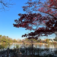 Photo taken at Senzokuike Park by ばくりんこ☆ on 12/9/2023