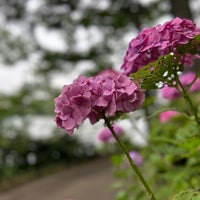 Photo taken at Senzokuike Park by ばくりんこ☆ on 6/10/2023