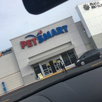 petsmart rexville