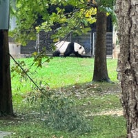 Photo taken at Giant Panda House by G on 10/14/2023