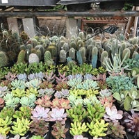 Whitfill Nursery Camelback East Phoenix Az Photo Taken At Whitfill Nursery By April P On 12 23 2016