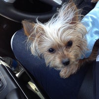 PetSmart - Silverado Ranch - 6 tips