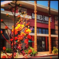 Barnes Noble Bookstore