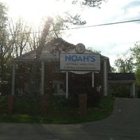 noah's emergency animal hospital