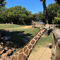 Photo taken at Fort Worth Zoo by Clay F. on 10/16/2023