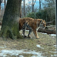 Photo taken at Tiger Mountain by Elke N. on 2/5/2022