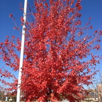 Photo taken at Panera Bread by Dave T. on 11/4/2012