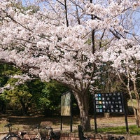 Photo taken at 千里中央公園 by May K. on 3/27/2021