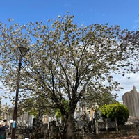 鬱金桜 台東区 11 Visitors