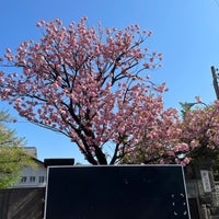 Das Foto wurde bei 養源寺 von Takayuki H. am 4/10/2021 aufgenommen