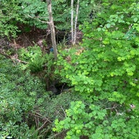 Photo taken at Fauntleroy Creek Ravine by Peter A. on 5/10/2021