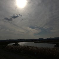 本明川桜づつみ Trail In 諫早市