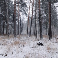 Photo taken at Юго-Западный лесопарк by Sasha N. on 11/1/2015