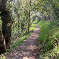 Photo taken at Palo Alto Foothills Park by Vegard K. on 4/2/2022