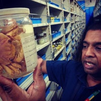 Photo taken at Raffles Museum of Biodiversity Research by Kevin L. on 3/21/2013