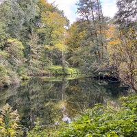 Photo taken at Tiergarten by Jacob F. on 10/17/2023