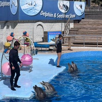 Снимок сделан в Antalya Aksu Dolphinarium пользователем Asiye P. 4/15/2022