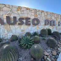 รูปภาพถ่ายที่ Museo del Desierto โดย Claudia P. เมื่อ 2/4/2024