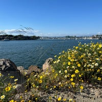 Photo taken at Marina Del Rey Channel by Ray R. on 5/7/2023
