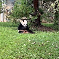 Photo taken at Giant Panda House by Jessica L. on 9/12/2023