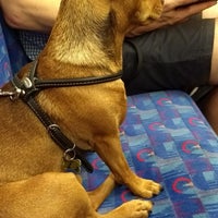 Photo taken at Central Line Train Ealing Broadway - Epping Forest by Veridiana d. on 8/19/2017