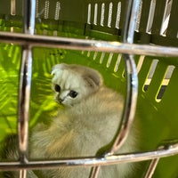 5/28/2023 tarihinde Rush R.ziyaretçi tarafından Joon Veterinary Clinic &amp;amp; Pet Shop'de çekilen fotoğraf
