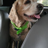 Barking Hound Village Lofts Poncey Highland 5 Tips [ 200 x 200 Pixel ]