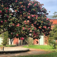 Photo taken at Museu Nacional de Soares dos Reis by Айгуль А. on 10/26/2022