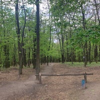 Photo taken at Голосіївський ліс by Oleksiy D. on 4/26/2020