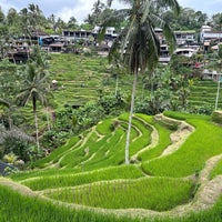 Photo taken at Tegallalang Rice Terraces by Alan Z. on 4/21/2024