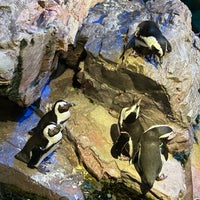 Photo taken at New England Aquarium by Jeff B. on 12/28/2023